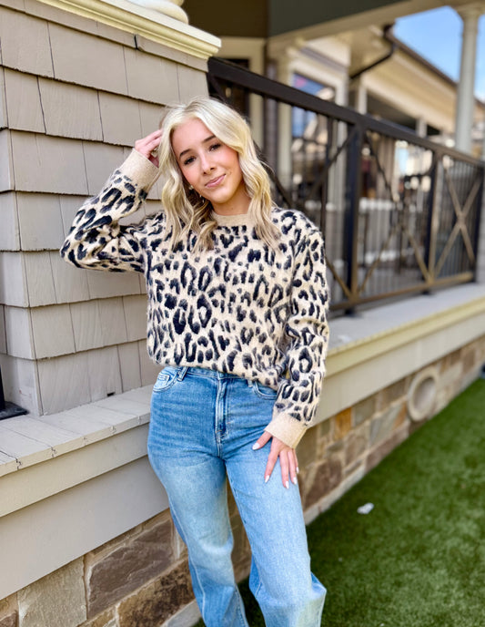 Get Wild Sweater