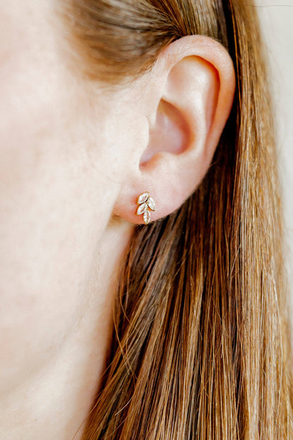 Screwback Stud Earrings - Laurel Gold