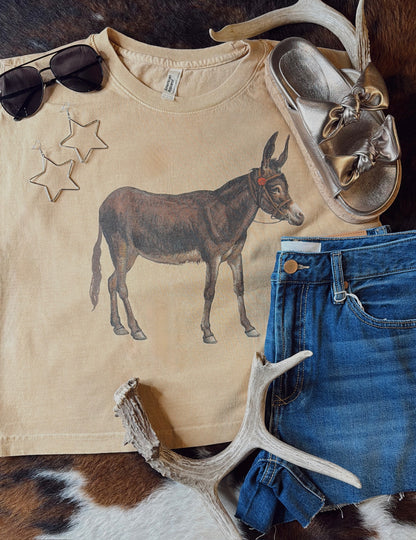 Vintage Donkey Boxy Tank