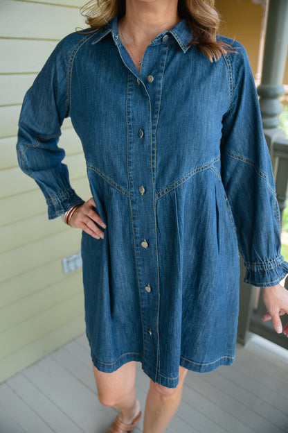 Alex Denim Dress