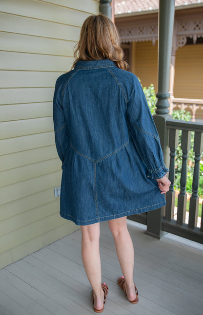 Alex Denim Dress