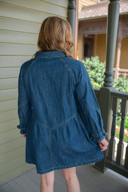 Alex Denim Dress