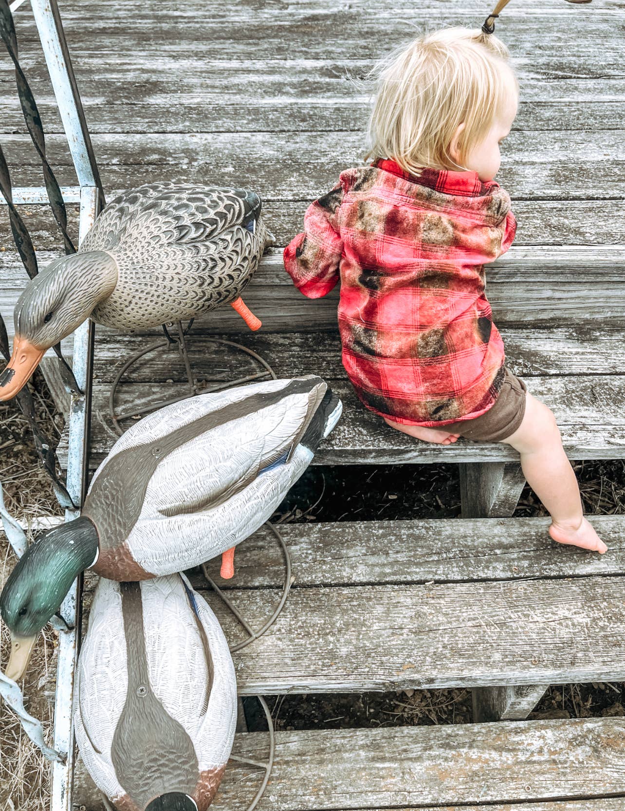 Toddler Mystery Flannel